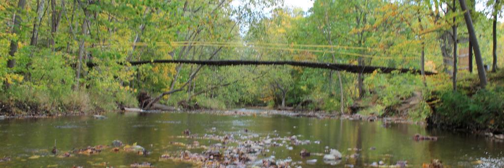 Clinton River WC banner