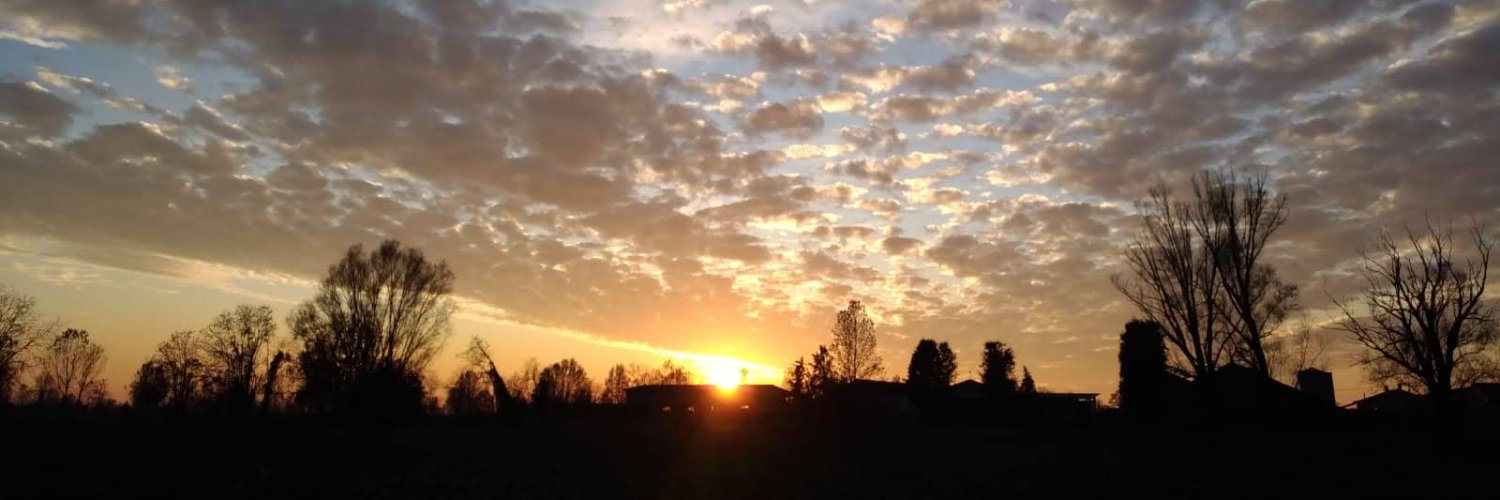 RitaNeotti's profile banner image