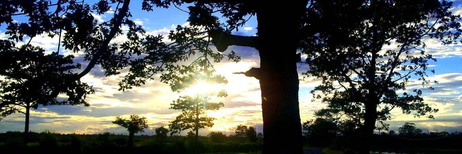 Meghraj_N's profile banner image