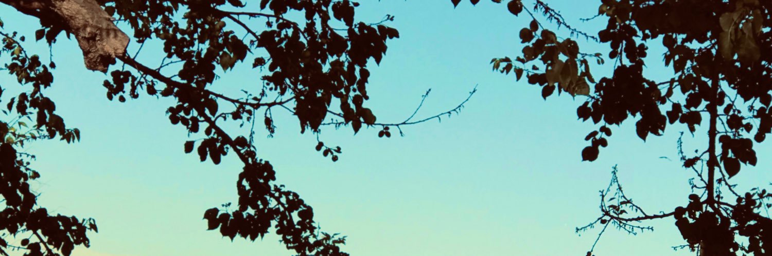 gcimen26's profile banner image