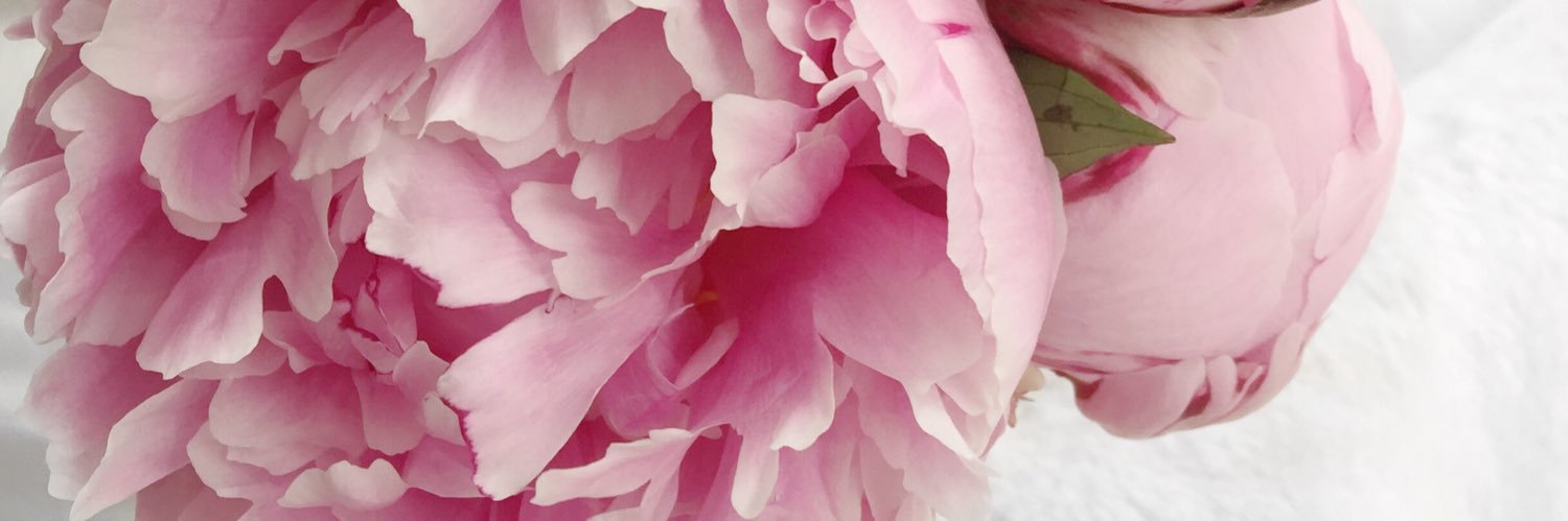DanielleSamantha banner