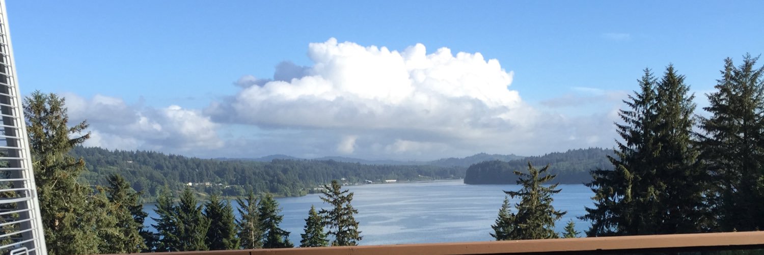 lee stratford banner