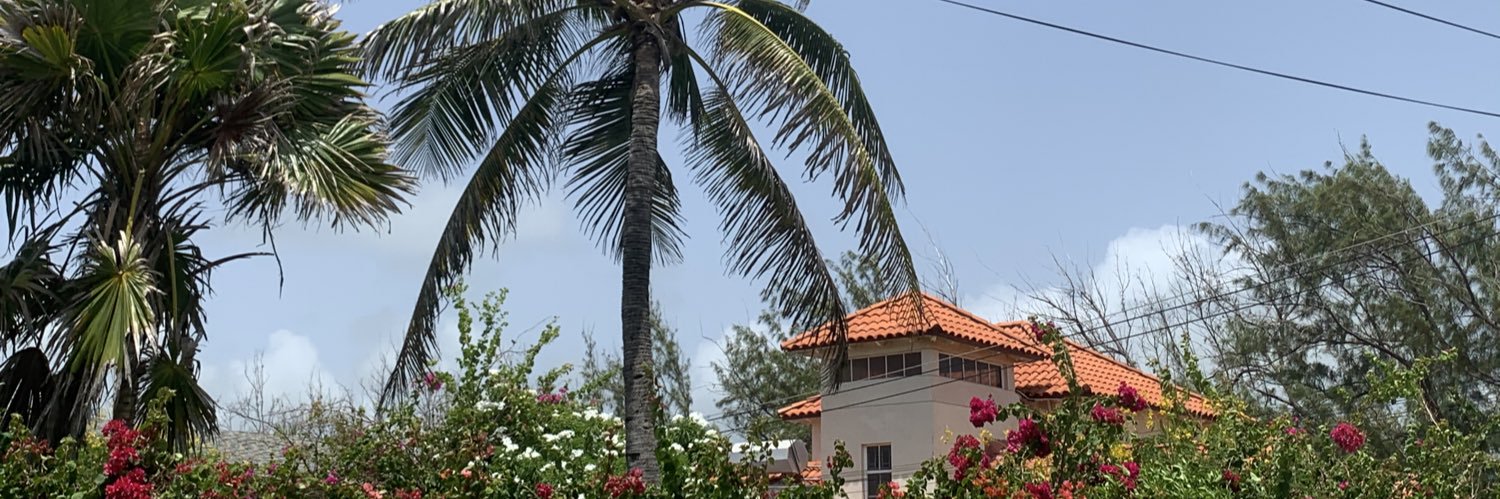 𝕒𝕕𝕣𝕚🧃 banner
