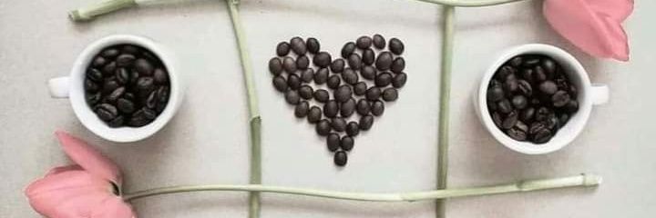 leilady12's profile banner image