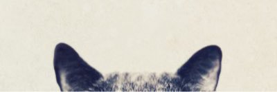 tunapuss's profile banner image