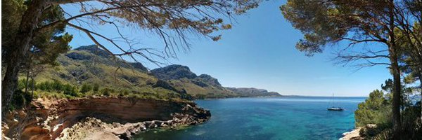 cmar_ib Profile Banner