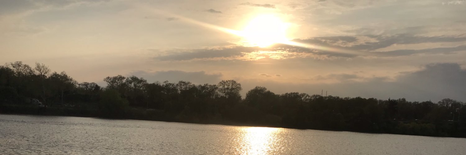celinex3__'s profile banner image