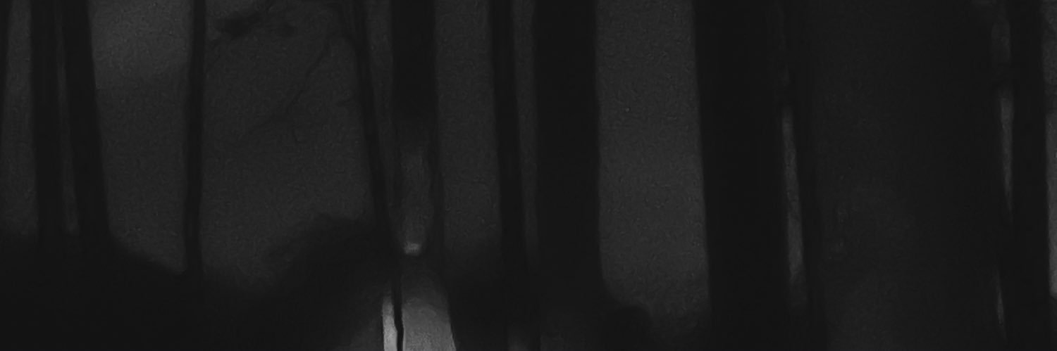 kek0ne's profile banner image