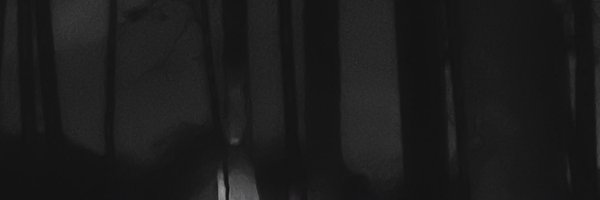 kek0ne Profile Banner