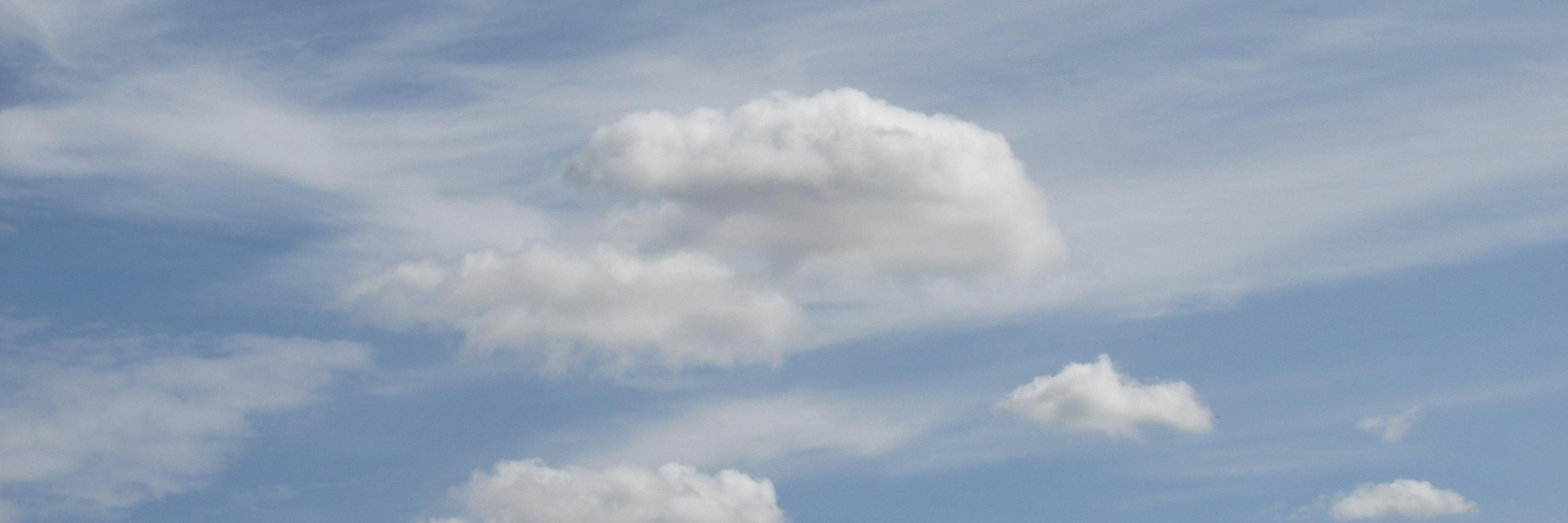 stressshifting's profile banner image