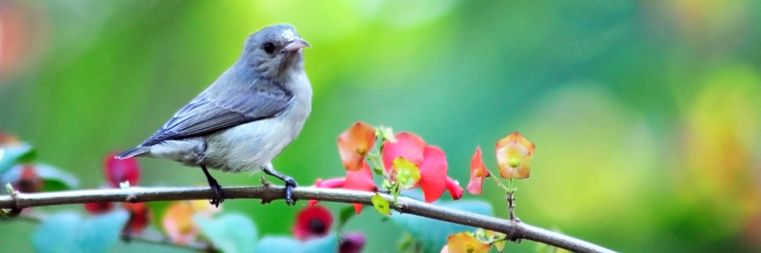 #WinBernieWin banner