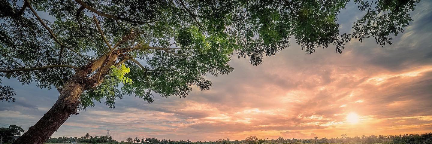 Amit d. Kumar banner