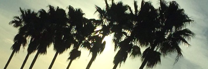 Daveyjern's profile banner image