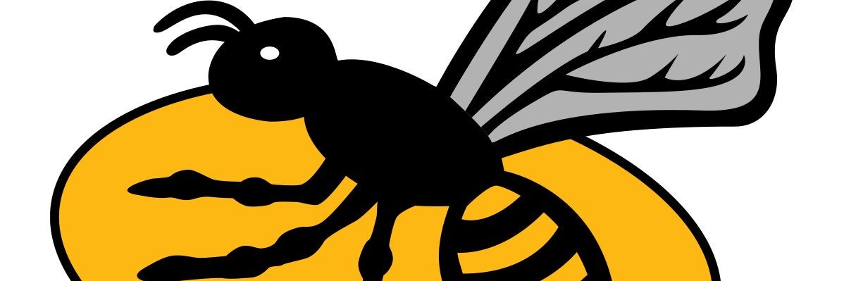 Wasps Outsider banner