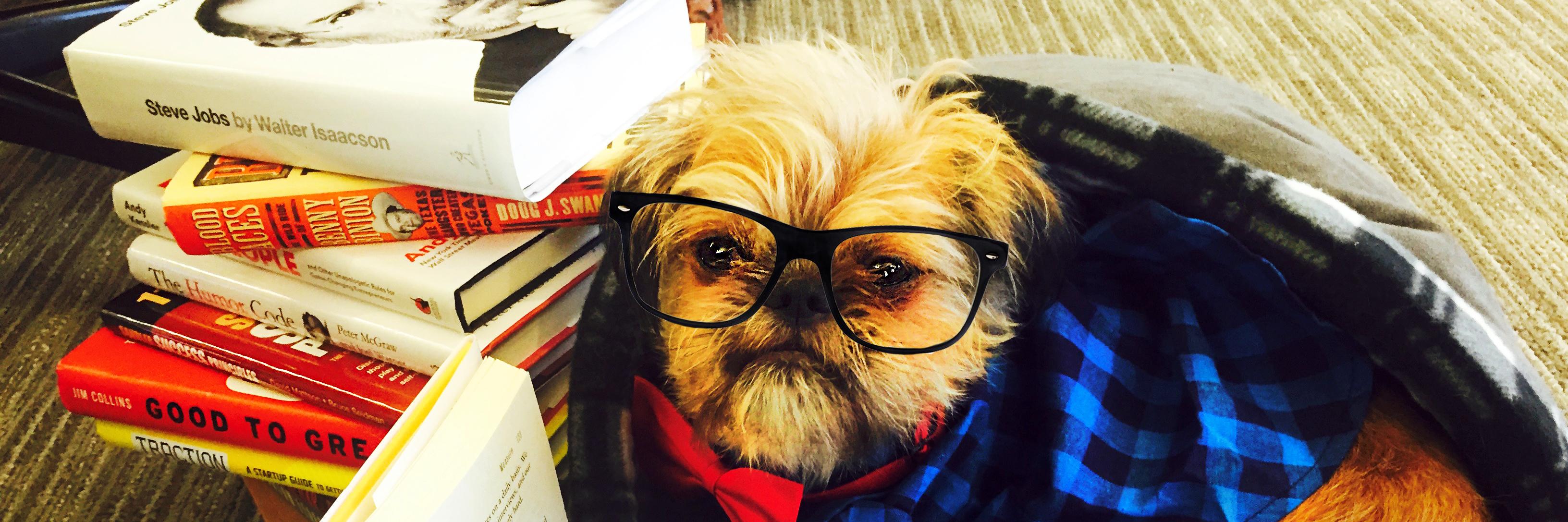 GarthStartupDog's profile banner image