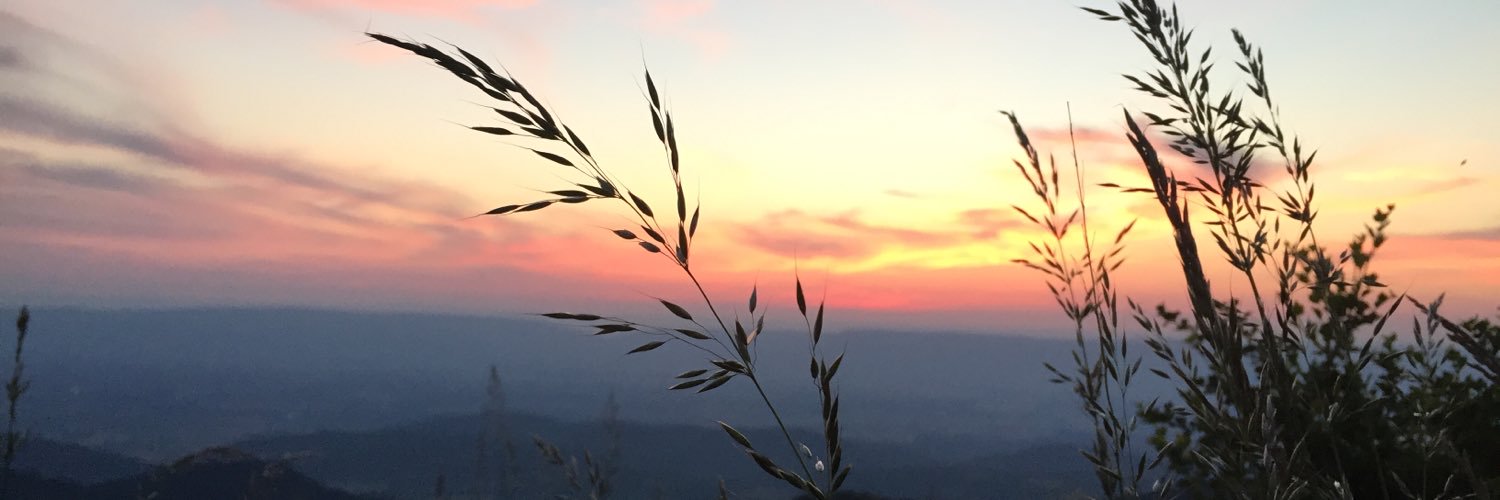 _dominica's profile banner image