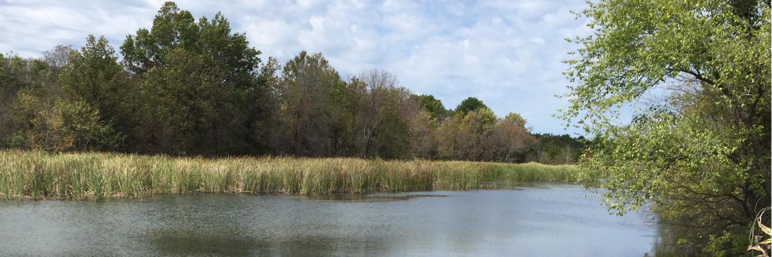 elitebaits's profile banner image