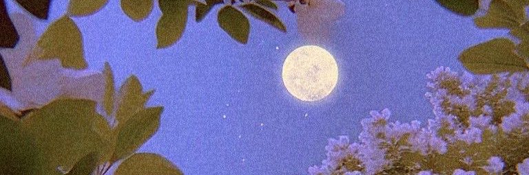 AsToldByMoon_'s profile banner image