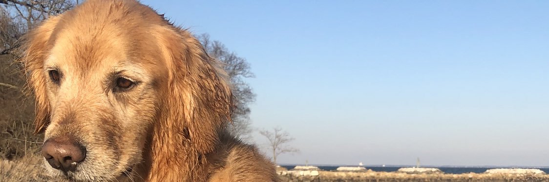MasonParadiso43's profile banner image
