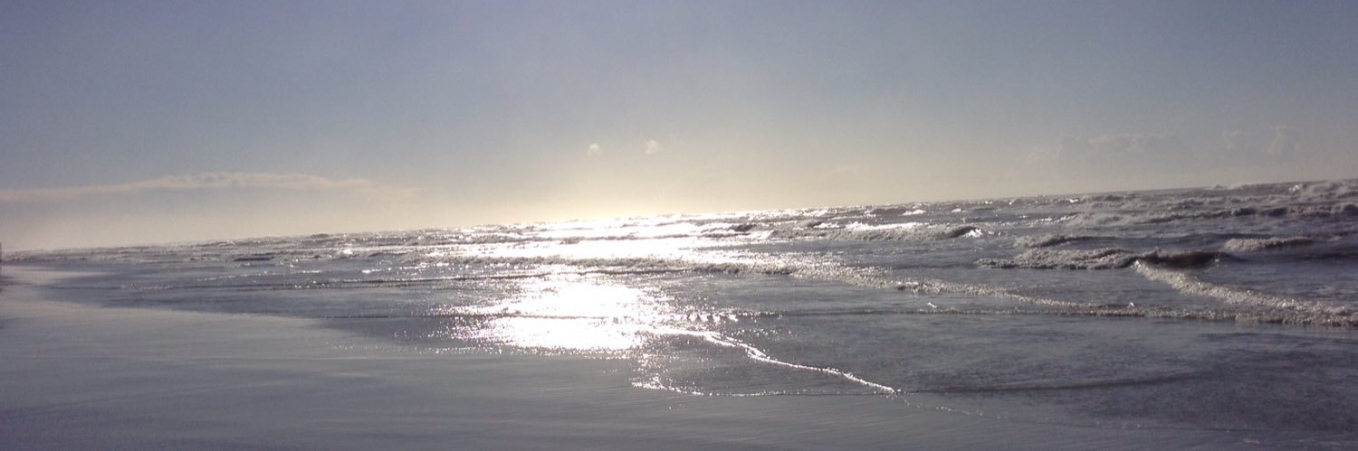 Roberto Renga 🇪🇺🇮🇹 banner