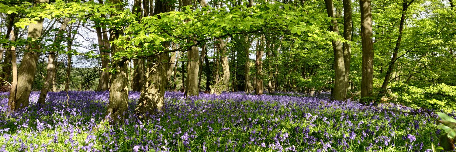 Environment Matters banner