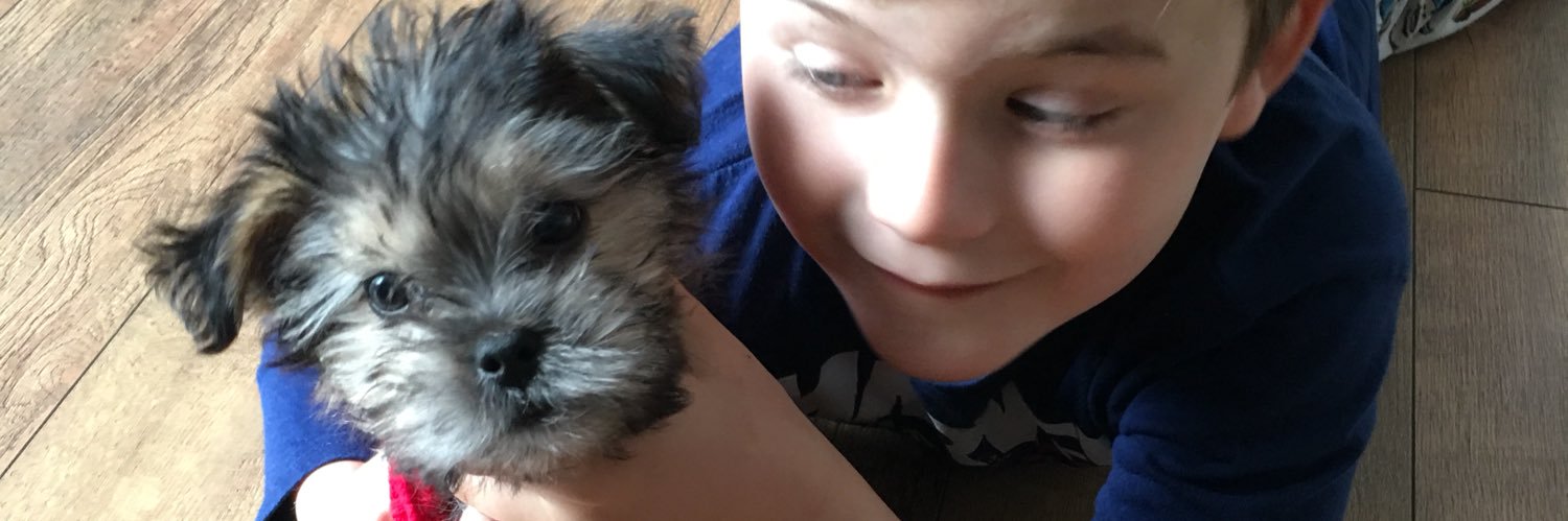 loopyloulaalaa's profile banner image