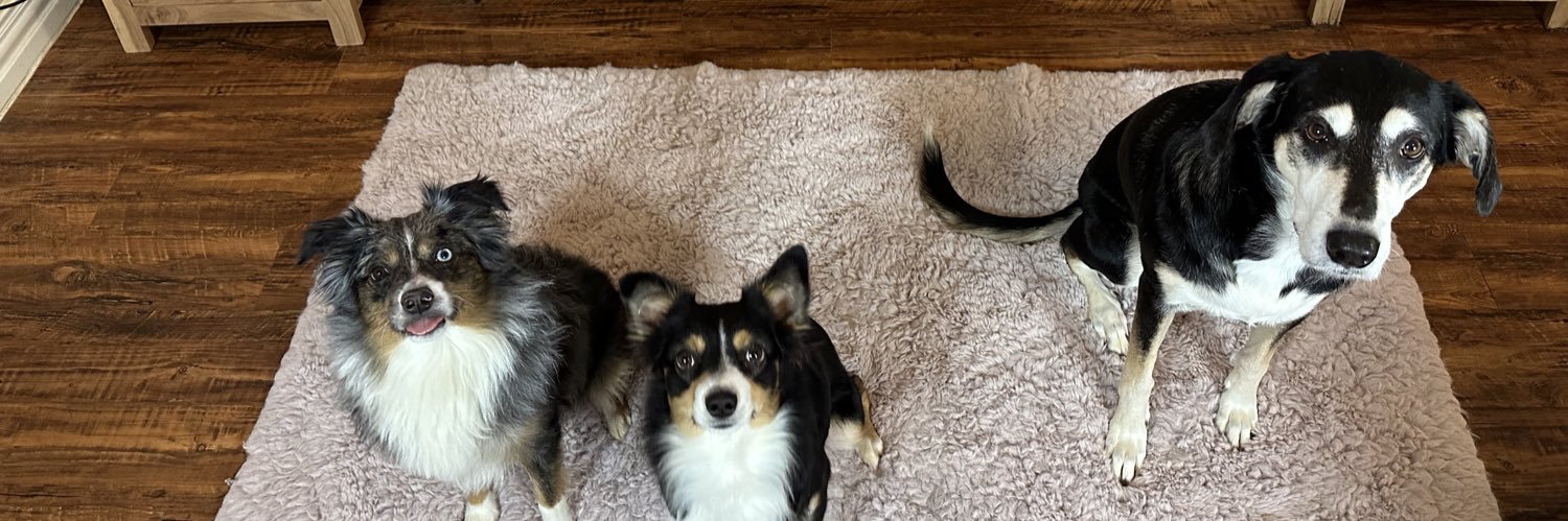 rileyjo_'s profile banner image
