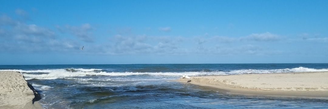 María José Bustamante banner