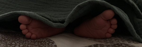 Donnaipsilon Profile Banner