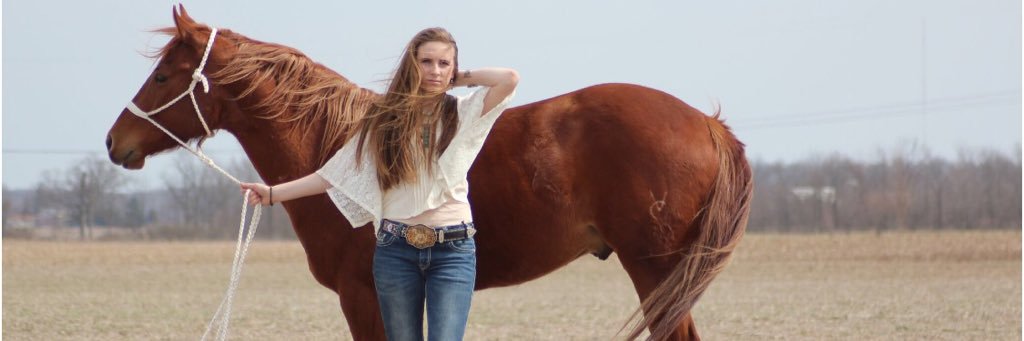 FastHorseResour's profile banner image