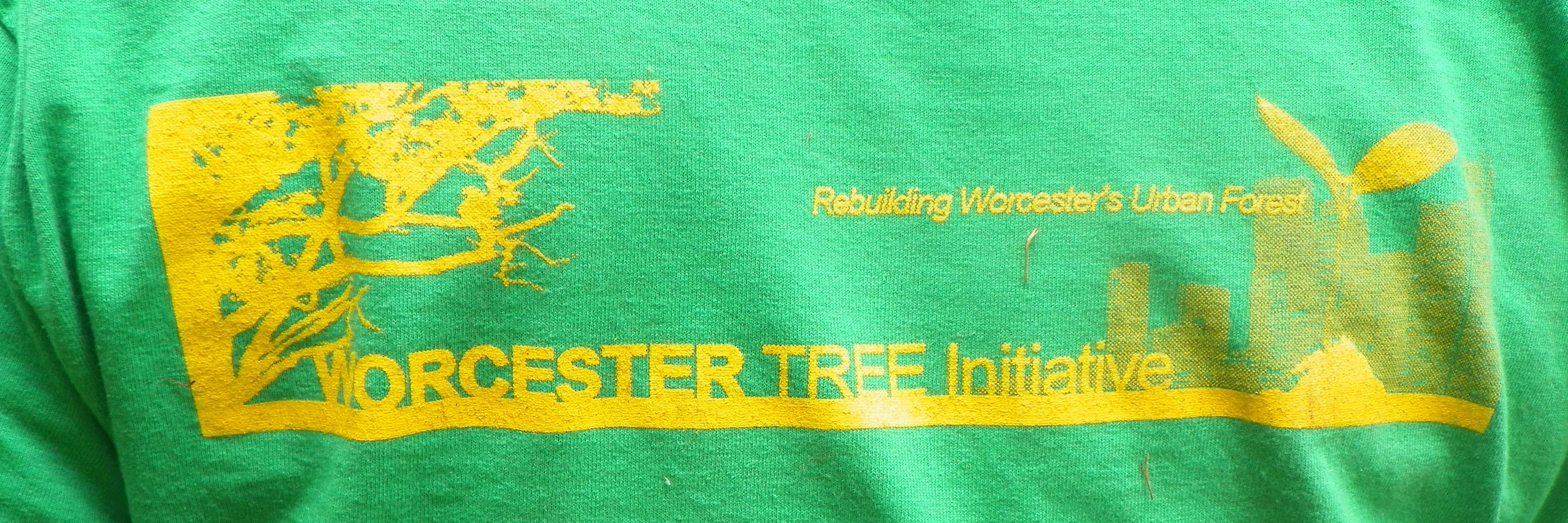 treeworcester's profile banner image