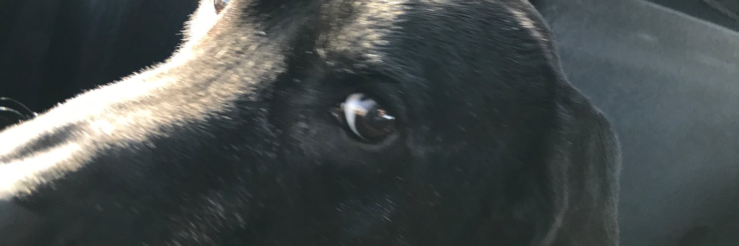 junemarincik's profile banner image