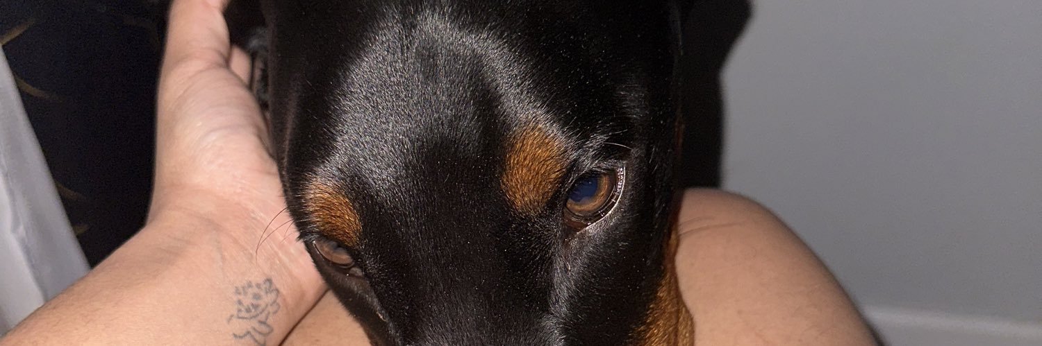ruuhzz's profile banner image