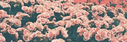 devinaadn_'s profile banner image
