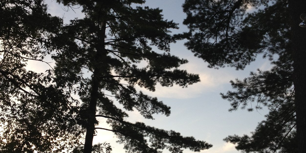 Nixgottfried's profile banner image