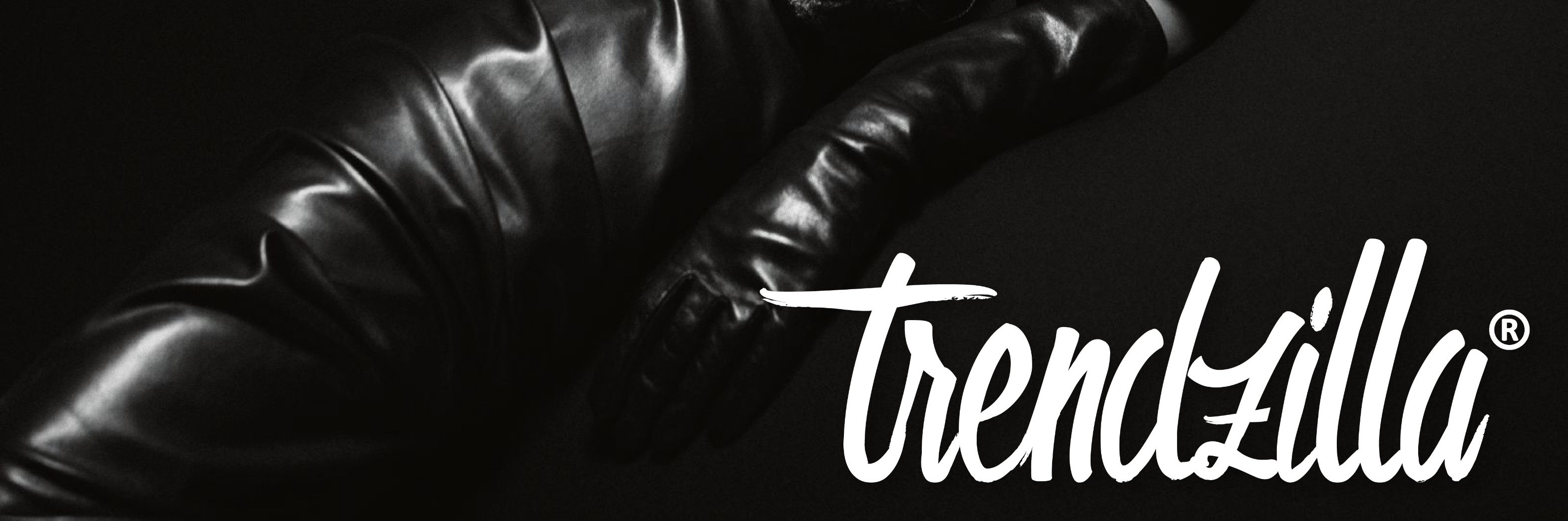 trendzilla1's profile banner image