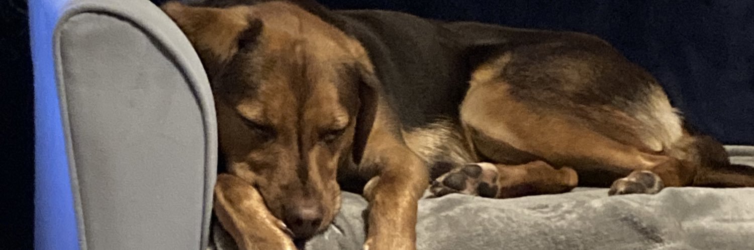 Els Iceton Ⓥ banner