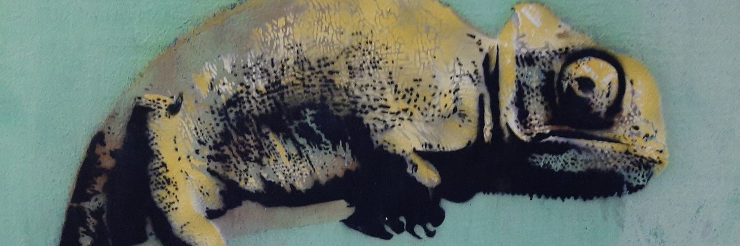 soheilzza's profile banner image