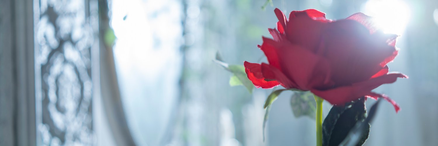 Rolays1's profile banner image