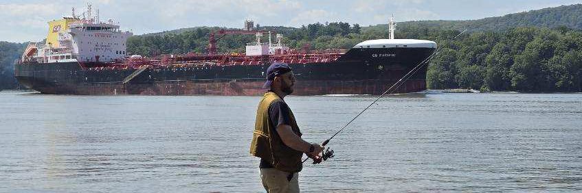 Bodega KAT Sunflower banner