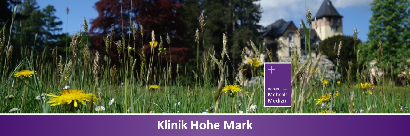 Hohe_Mark's profile banner image