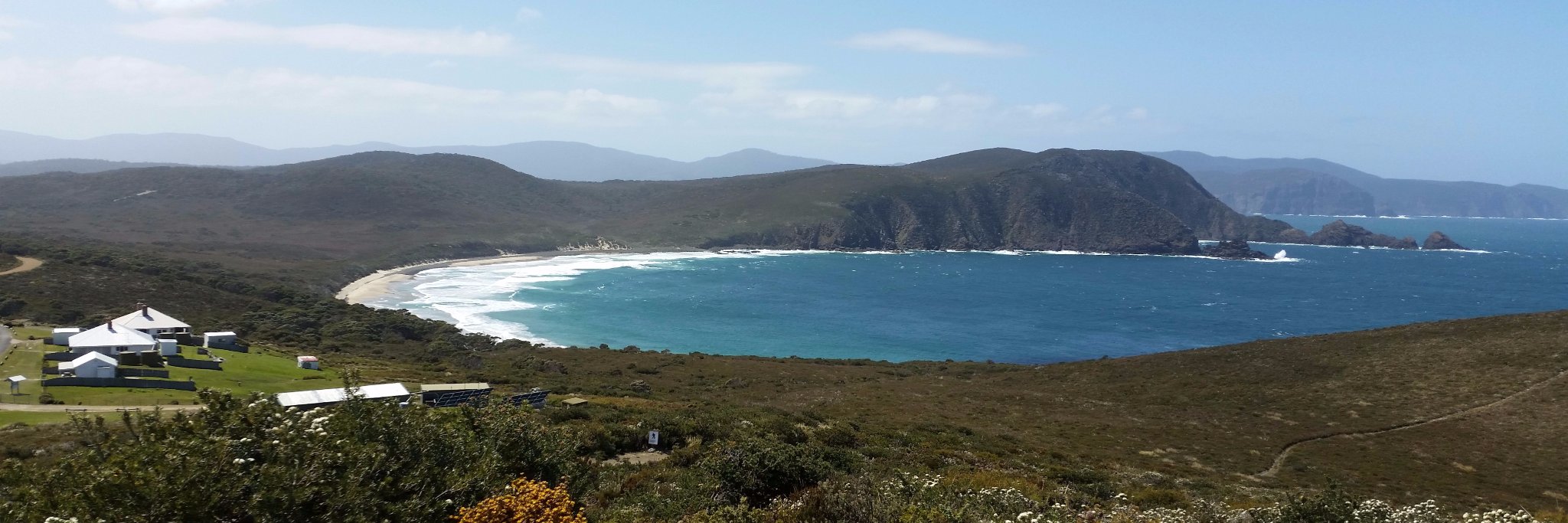 Emily Johnston Flies banner