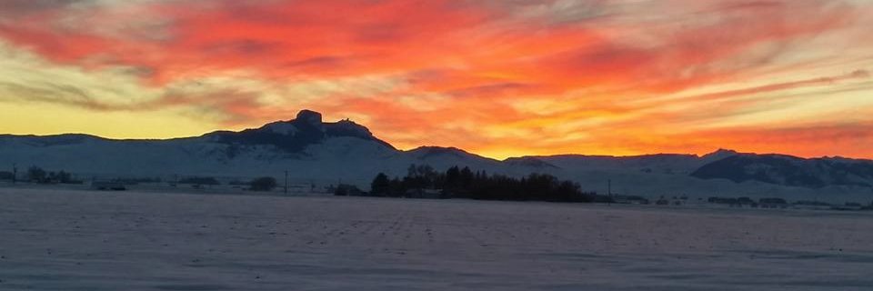 EmilyRealtyWY's profile banner image