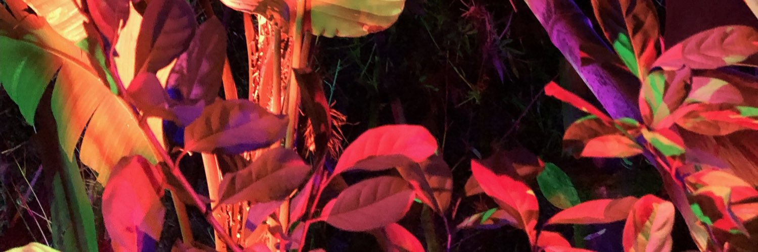 Lyf31sg00d's profile banner image