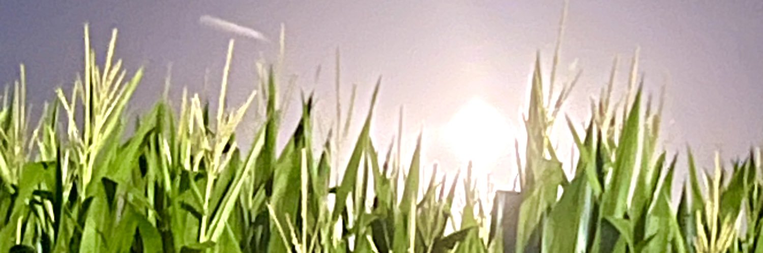 drwhitesides's profile banner image