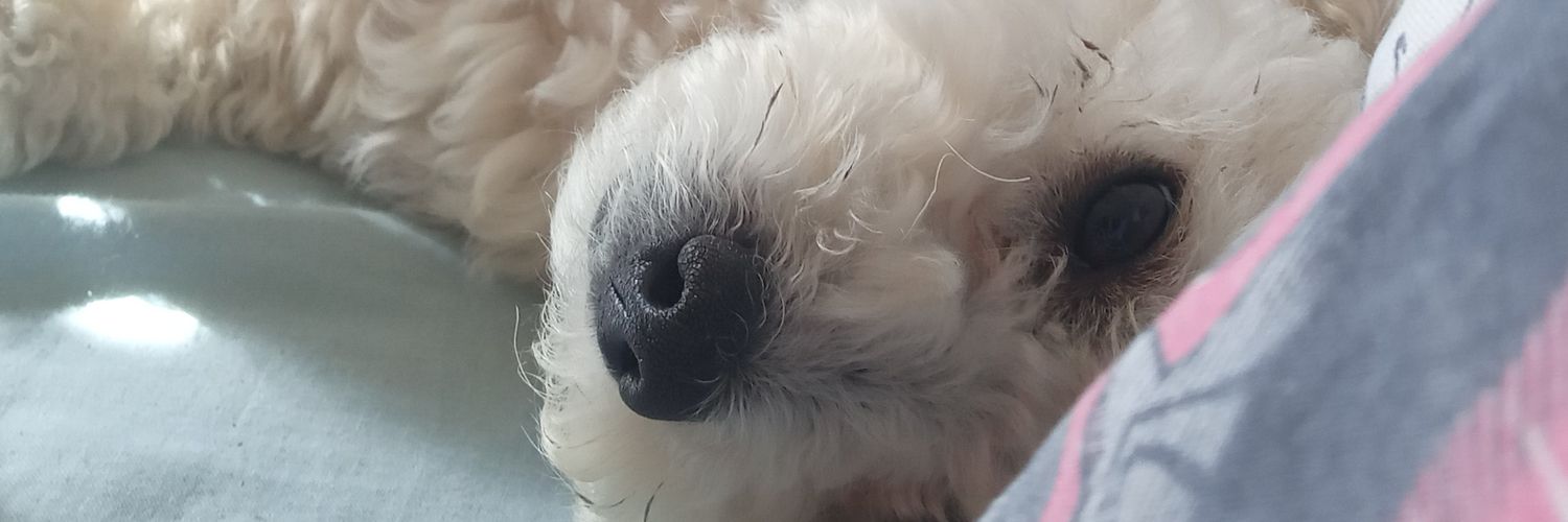 Micabbbbb0's profile banner image