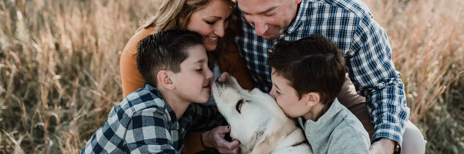 GoodDogService's profile banner image