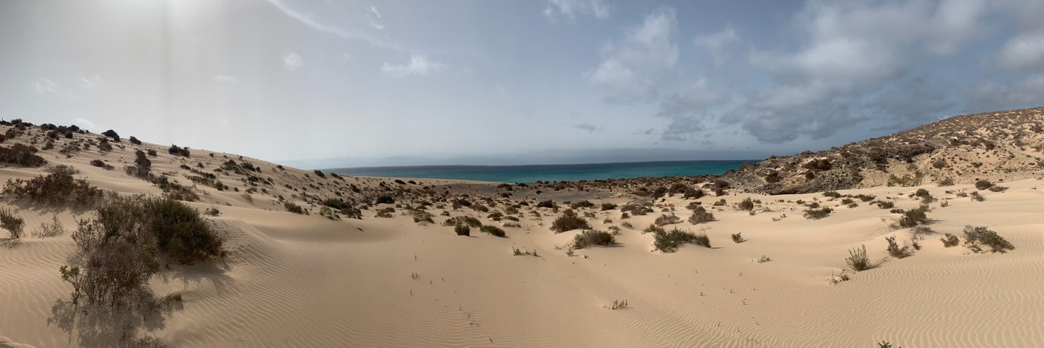 De Maeseneer Daan banner