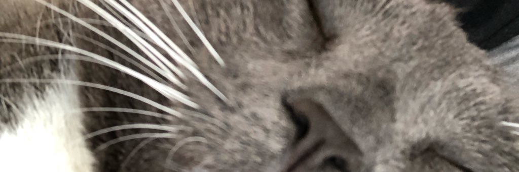 kaaaydavis's profile banner image