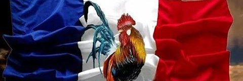 SBolatre's profile banner image